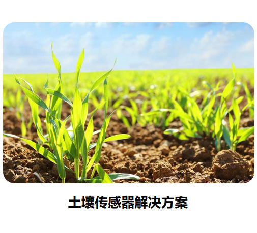 物聯(lián)網(wǎng)傳感器-土壤系列解決方案
