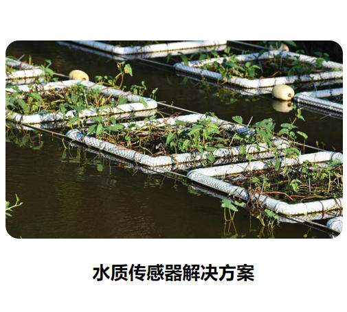 物聯(lián)網(wǎng)傳感器-水質(zhì)系列解決方案