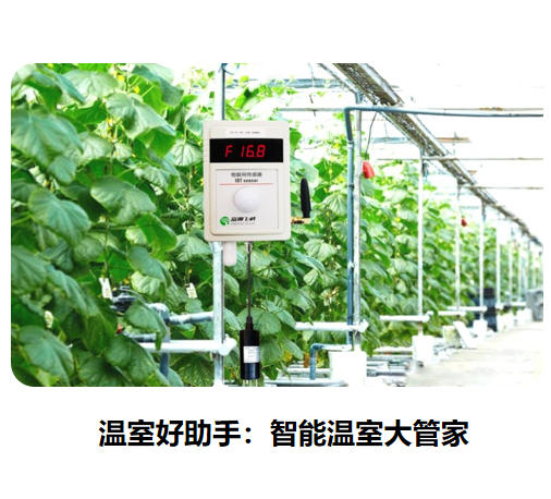 溫室好助手:智能溫室大管家