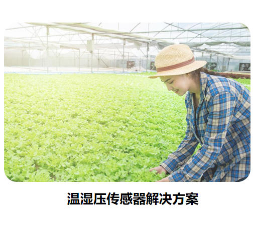 物聯(lián)網(wǎng)傳感器-溫濕壓系列解決方案