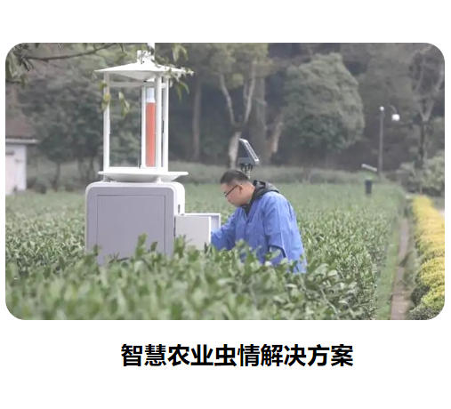 智慧農(nóng)業(yè)蟲情解決方案