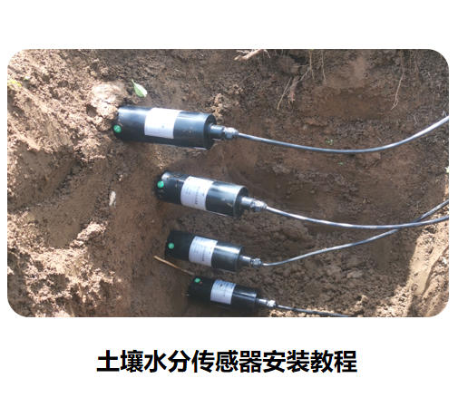 土壤水分傳感器安裝教程